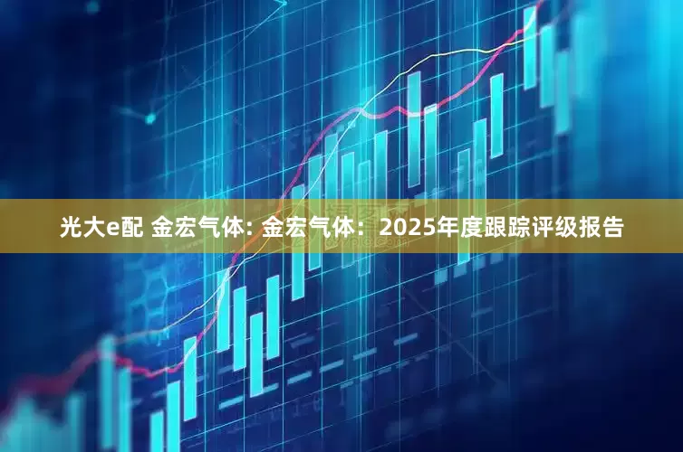 光大e配 金宏气体: 金宏气体：2025年度跟踪评级报告