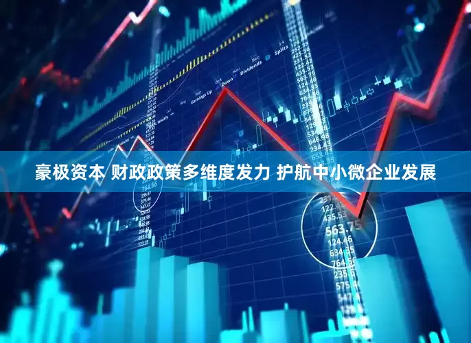 豪极资本 财政政策多维度发力 护航中小微企业发展