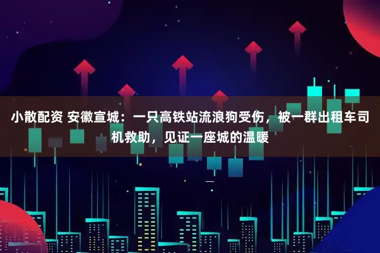 小散配资 安徽宣城：一只高铁站流浪狗受伤，被一群出租车司机救助，见证一座城的温暖