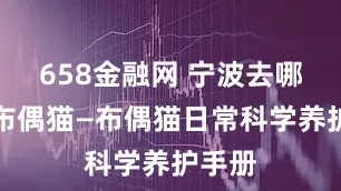 658金融网 宁波去哪里挑布偶猫—布偶猫日常科学养护手册